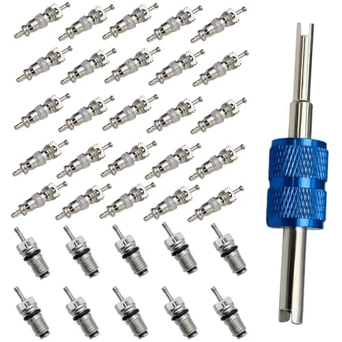 Air Conditioning Valve Core A/C R12 R134a Refrigeration Schrader Valve Cores for Car Home AC with Double Head Dual Valve Remover Tool