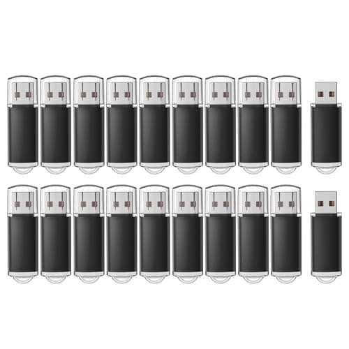 RAOYI 20 Pack 16GB USB Flash Drive Bulk USB 2.0 Memory Stick Thumb Drive Pen Drive Bundle-Black