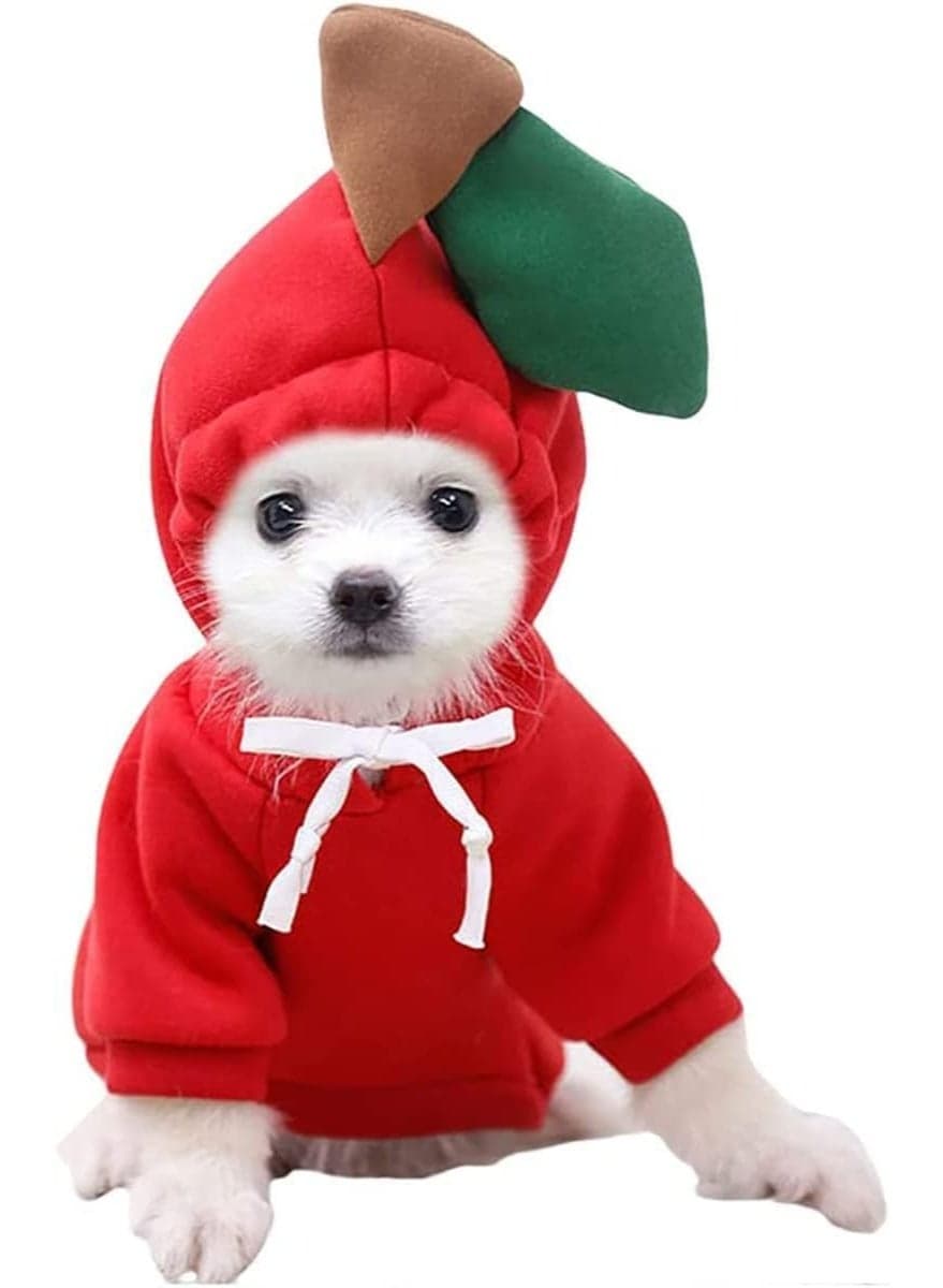 Warm Dog Hoodie for Small Dogs, Soft Fleece Dog Sweatshirt, Winter Pet Clothes for Puppy, Cozy Pullover Sweater for Chihuahua, Poodle, Daily Wear, Apple XL