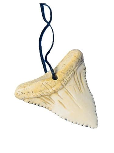 Shark Tooth Necklaces (1 Dozen)