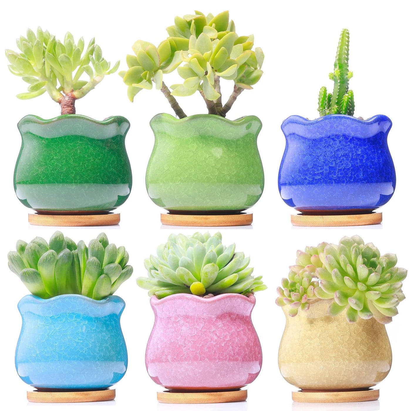 Cute Ceramic Succulent Garden Pots Planter with Drainage and Attached Saucer Set of 5 Plants Not Included Fambe