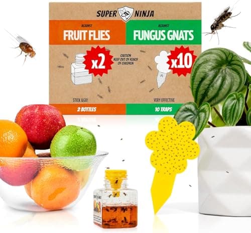 Super Ninja Fungus Gnat Fruit Fly Traps 10 Gnat Sticky Traps for Plants 2 Highly Effective Fruit Fly Catchers for Indoors Kid Pet Friendly Ready to Use Up to 3 Months of Performance