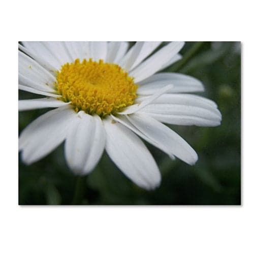 Trademark Fine Art Simplistic Artwork by Monica Fleet, 14 by 19-Inch