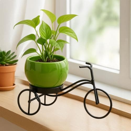 CINAGRO Cycle-Shaped Metal Plant Stand for Indoor & Outdoor Use, Metal Cycle Flower Vase, Decorative Iron Planter Pot Holder for Flowers & Ornaments (24 x 11 x 11cm) Style: Urban Pedal, Big