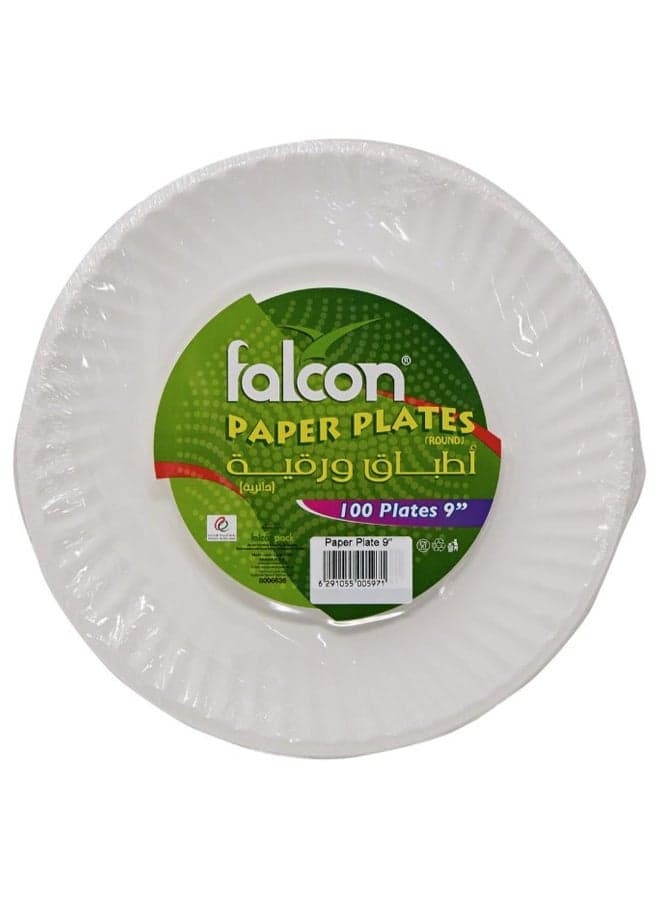 100-Piece Disposable Plate Set