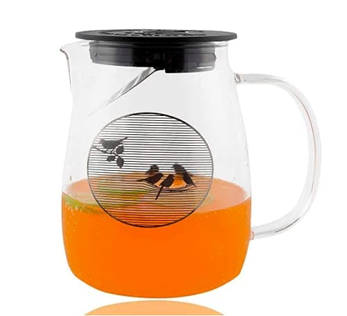HOMIES Bird Print HeatResistant Glass Boutique Serving Kettle Filter Tea Coffee Pot Cooking Pot with Plastic Lid Stovetop Safe 900ml