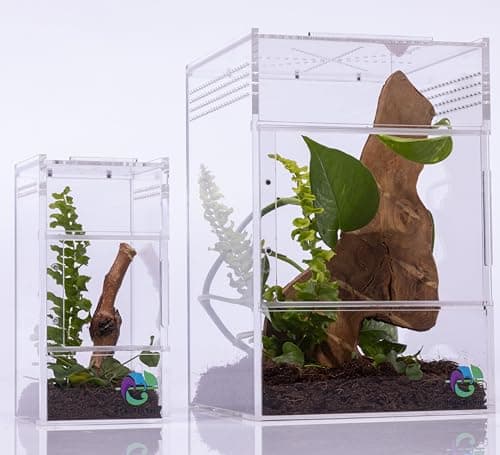 EctoTherm Jumping Spider Enclosure - for Habitat, Terrarium Kit and Arboreal Tarantula Enclosure