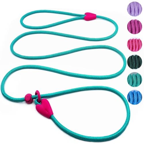 Slip Lead No Pull Dog Leash Slip Leads for Dogs Puppy Leash 6FT Slip Leash for Dogs Dog Lead with 6 Colors Strong Nylon Dog Training Leash Dog Leash (Green)