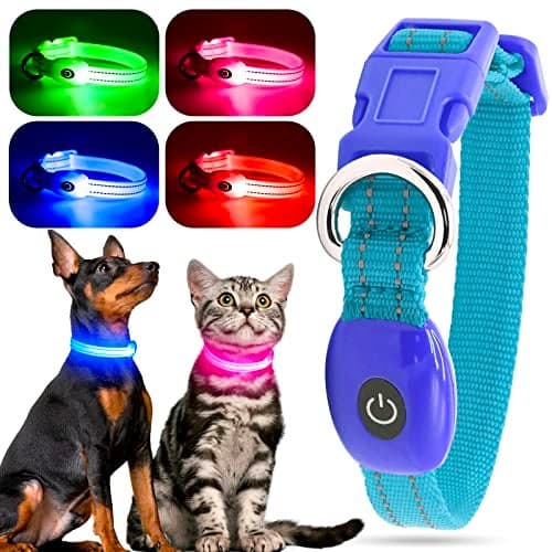 YFbrite LED Dog Collar XS, Lightweight Cat Collar Light, Comfortable Light Up Puppy Collars, USB Rechargeable Adjustable Puppy Walking Safety Light (Blue, XS)