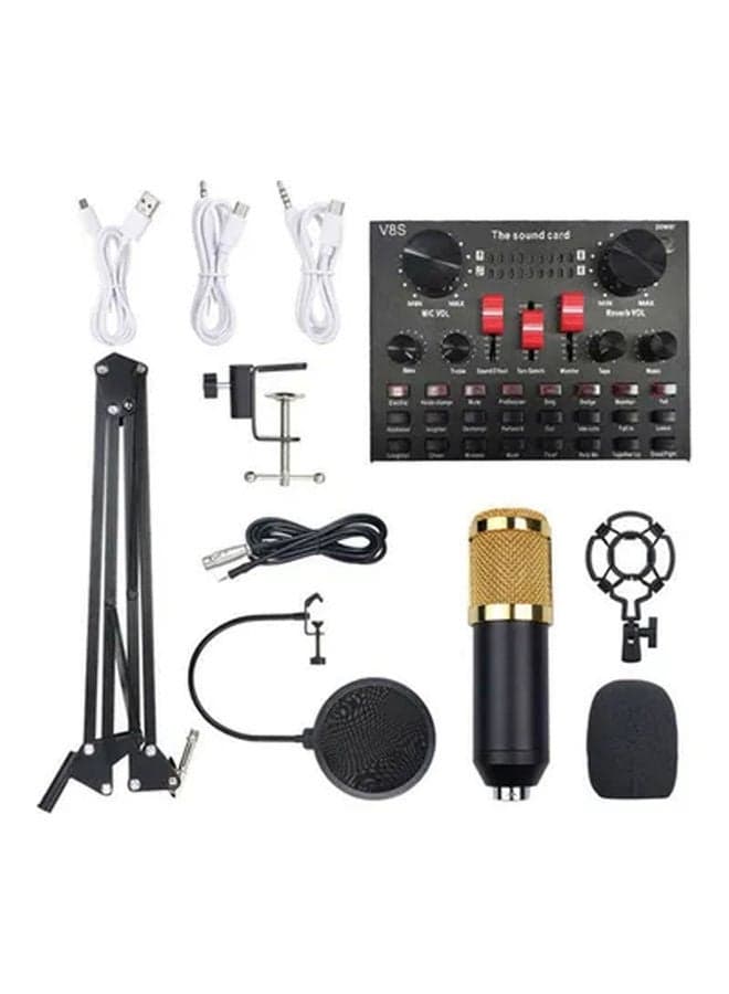 Studio Recording Professional Sound Card Microphone Set PSM-Mic05 Muticolour