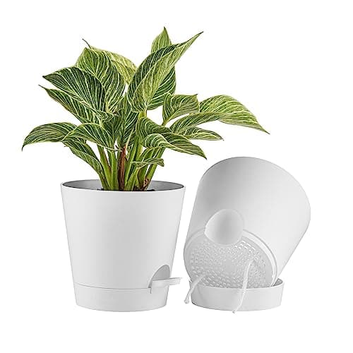 FaithLand 2Pack 8 Inch Planter Pots for Indoor Outdoor Plants Self Watering Flower Pots with Deep Reservoir White