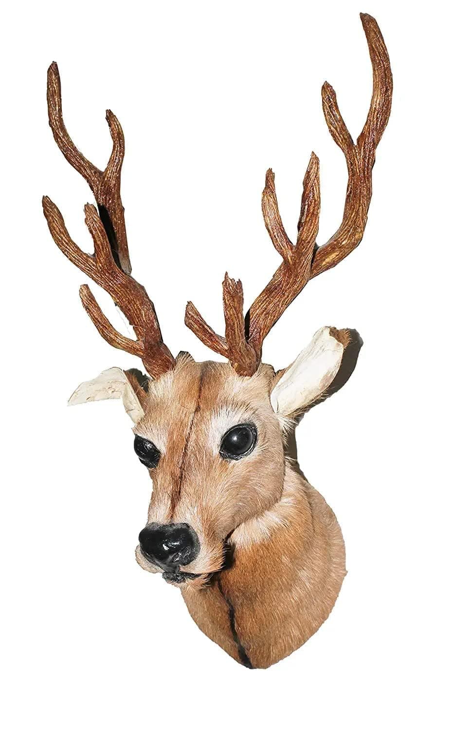 NB Crafted Wall Hanging Deer Head Showpieces for Home, Living Room, Balcony, Hotel, Restaurants Decoration and Wall Mounted - Home Decors Showpiece (Pack of 1)