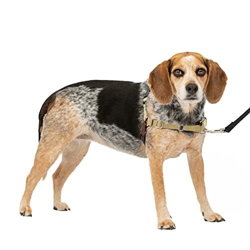 PetSafe Easy Walk Harness for Dogs - Pull-Free Walks - Patented Martingale Loop Design - Front Chest Leash Attachment - Comfort Straps - Breathable Harness Design - Small/Medium, Fawn/Brown