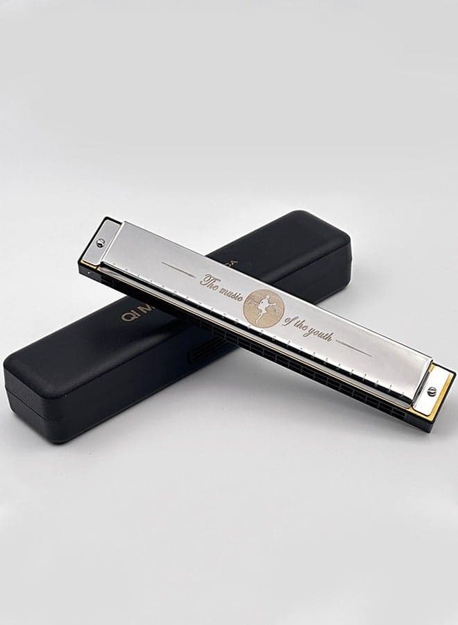 24 Hole Professional Harmonica - Advanced Tremolo Harmonica In Key Of C For Adult & Serious Players, Concert Quality Polyphonic Instrument (Silver)