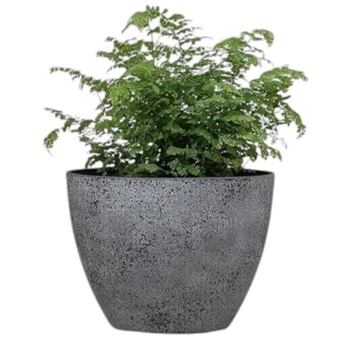 Garden Art Fiber Planters GA-37C-008 Outdoor,Indoor Decor Planters for Your Home Unbreakable,Durable (D-22 CM)