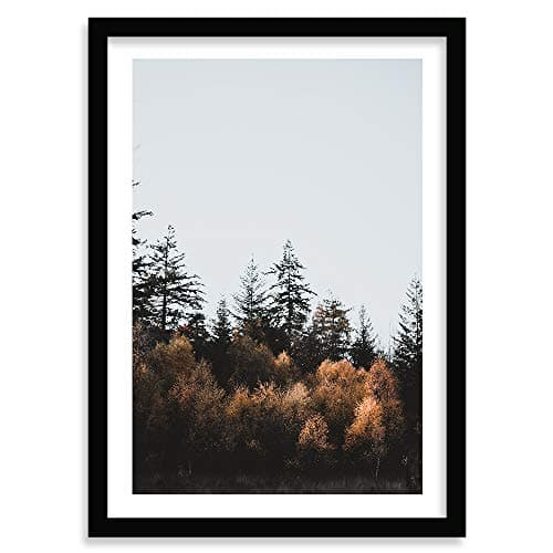COLOSSAL ART HOUSE Nature Poster Frame Large Wall Painting for Living Room, Bedroom and Office Wall Decoration frame décor (13x17 Inch Framed Picture with Poster)