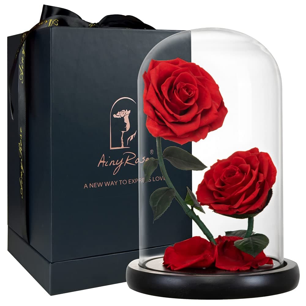 AINYROSE Gifts for Women Forever Preserved Red RoseBirthday Valentines Day Gift with Red Eternal Flower in Glass DomeGifts for Valentines Day Mothers Day Christmas Anniversary Birthday red
