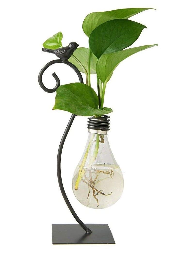 Holder for Home Decoration Modern Creative Bird Plant Terrarium Stand