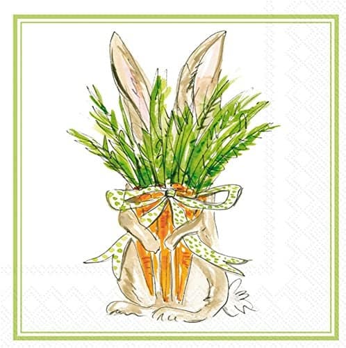 IHR Ideal Home Range 3-Ply Lunch Size Paper Party Napkins Rosanne Beck Collections, 20-Count, 6.5" x 6.5", Carrot Bunny