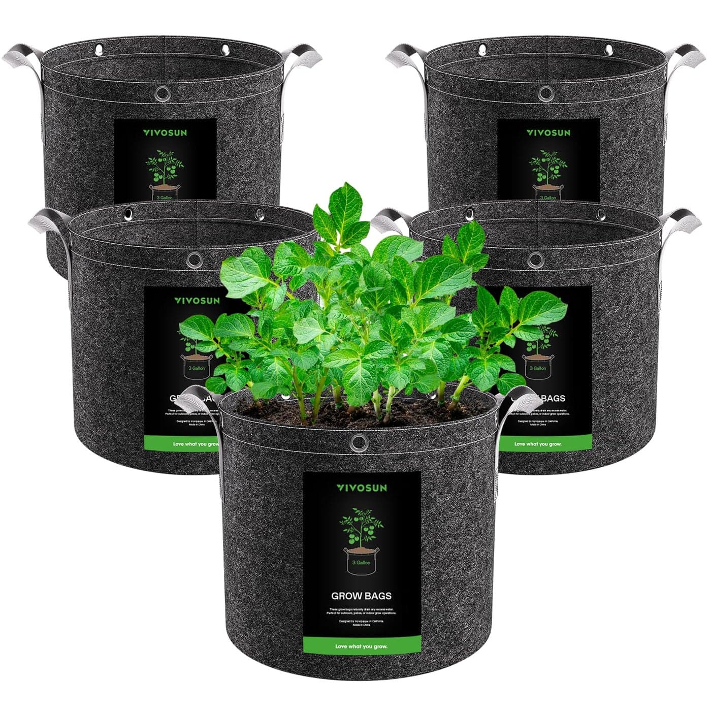 VIVOSUN 5Pack 3 Gallon Grow Bags 500G Thick Nonwoven Fabric Pots with Strap Handles MultiPurpose Rings for Low Stress Plant Training Fruits Vegetables and Flowers