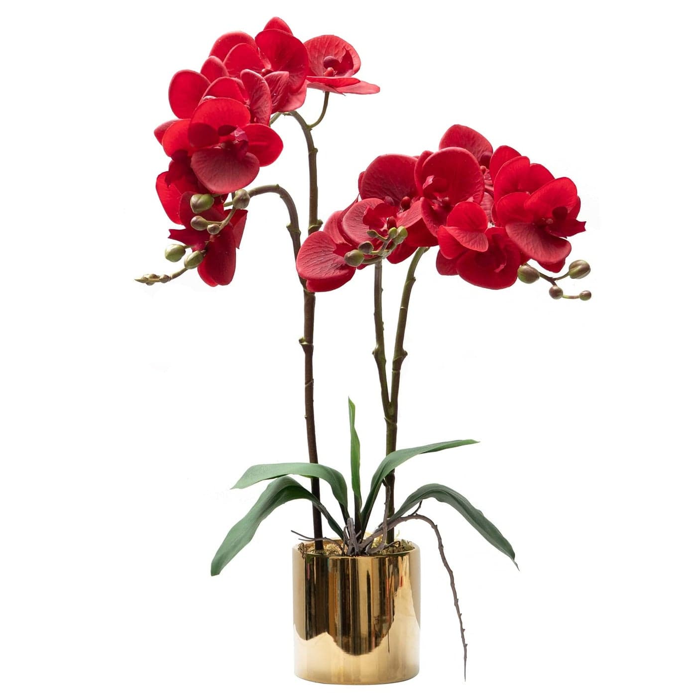 CXGS Artificial Orchid Flower Plant Real Touch Faux Orchids in Ceramic Vase Red 197 Fake Phalaenopsis Flower Arrangement Centerpiece Home Indoor Decor