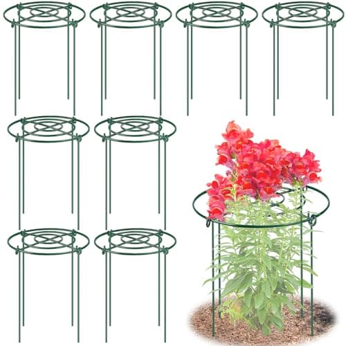8 Pack Peony Cages and Supports 115 Dx16 H Plant Supports for Outdoor Plants Heavy Duty Metal Peony Support Cage Flower Support Rings Plant Support Ring for Rose Tomato Hydrangea Strawberry