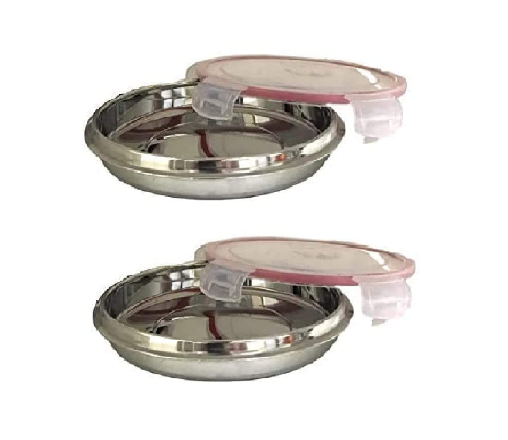 Dynore Stainless Steel Pink Tiffin 2 Number Set of 2