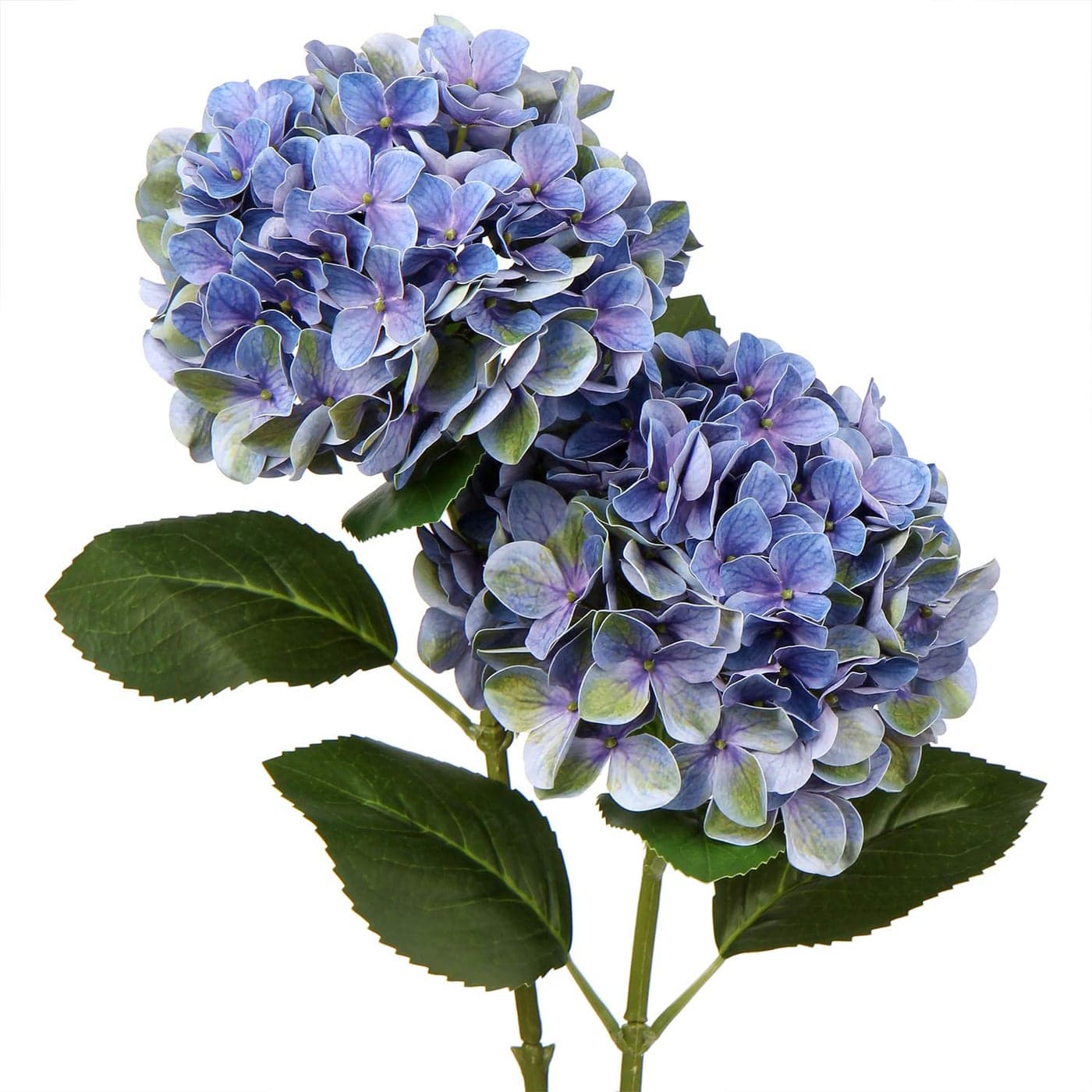 Briful Hydrangea Artificial Flowers Real Touch Hydrangea Flowers 248 Tall Fake Flowers Hydrangea Plants Long Stem Artificial Flowers Outdoor Garden Wedding Home Decor