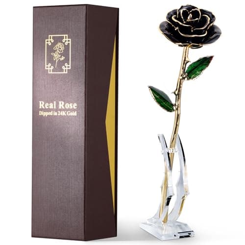 ECO SPACE 24K Gold Dipped Real Rose – Handcrafted, Bold, One of a Kind – Romantic Gift for Her – Ideal for Birthday, Anniversary, Mother’s Day, Valentine’s (Black)