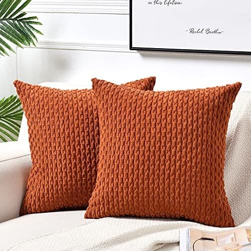 Fancy Homi 2 Packs Rust Decorative Throw Pillow Covers 18x18 Inch for Couch Bed Sofa, Modern Farmhouse Boho Home Decor, Soft Cute Plush Corduroy Cushion Case 45x45 CM