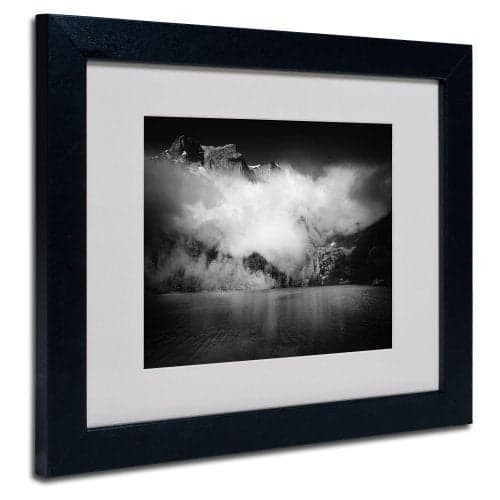 Black Beauty by Philippe Sainte-Laudy with Black Frame Artwork, 11 by 14-Inch