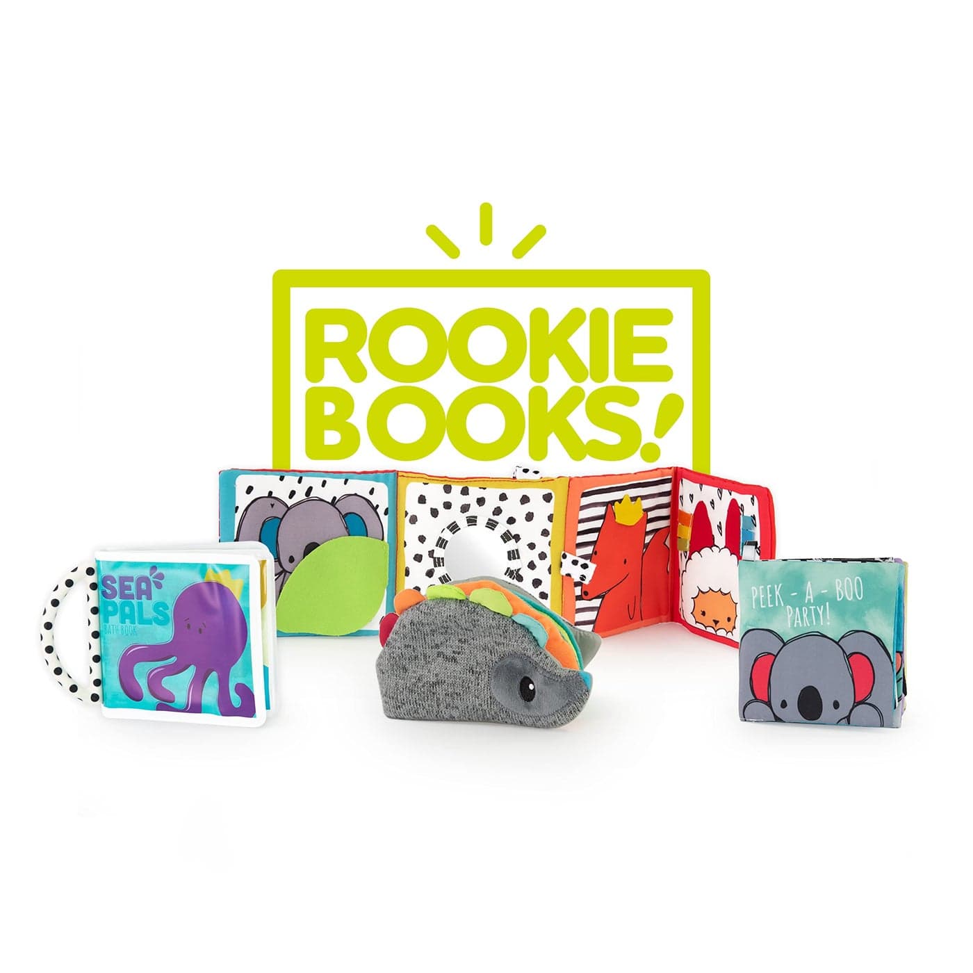 Sassy Rookie Books Baby Box 2 Months