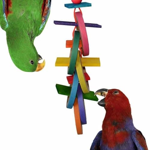 Super Bird Creations SB625 Olympic Rings Bird Toy Large Bird Size 15 x 4 x 4
