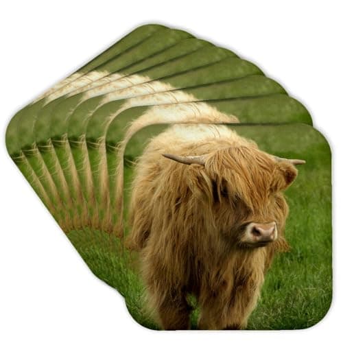 3dRose Scotland, Highland Cow, Farm animal-EU36 CMI0128-Cindy Miller Hopkins-Soft Coasters, Set of 8 (CST_82799_2)