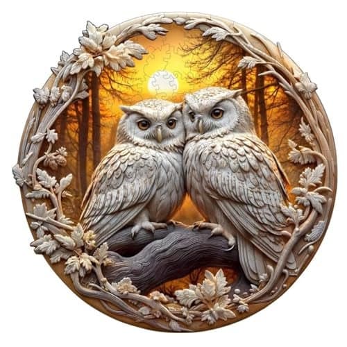 Jollitot 3D Owl Puzzles 200 Pieces Puzzles Gifts for Adults 114x114in Wooden