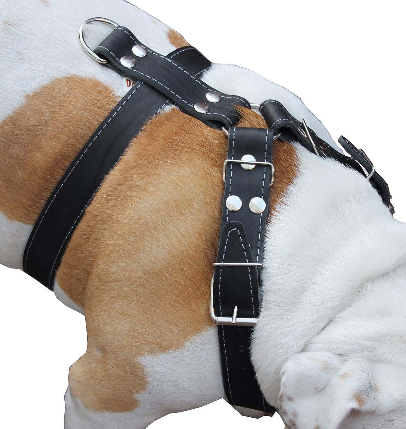 Black Genuine Leather Dog Harness Large. 30-35 Chest, 1.5 Wide Straps Pitbull, Boxer