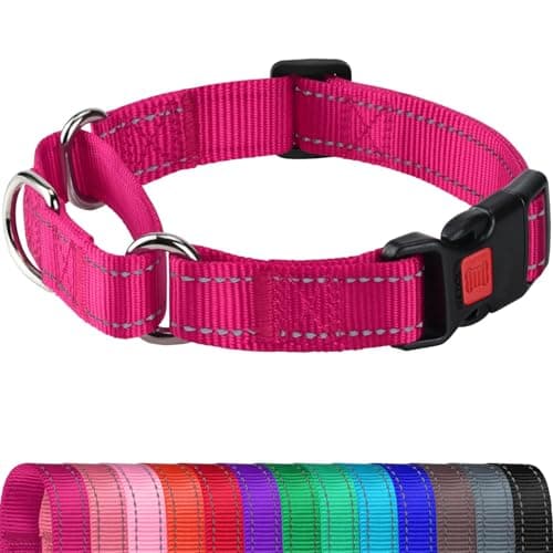 Joytale Martingale Collar for Dogs, Reflective Escape Proof Training Dog Collars with Safety Lock Buckle, No Slip Soft Nylon for Small Pets, Hotpink, S