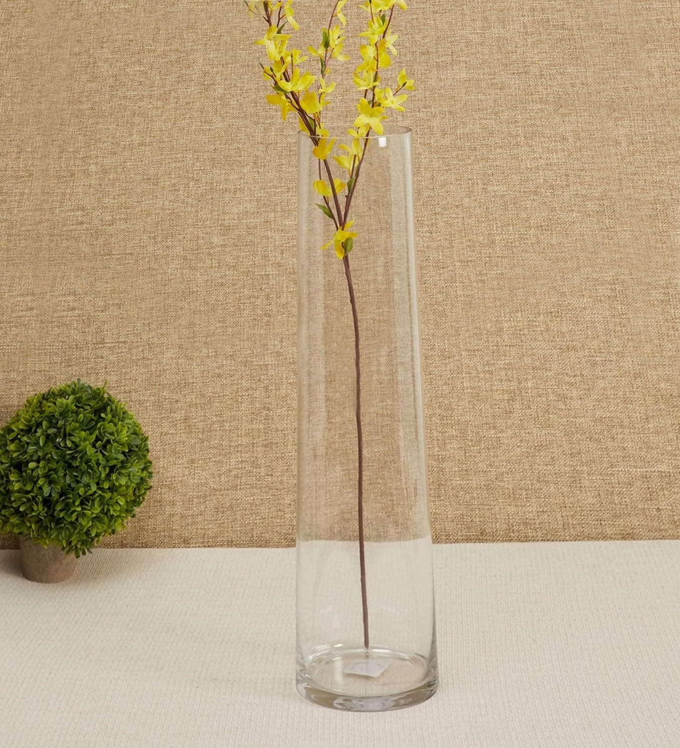 Tied Ribbons Glass Vase for Flowers Plants Transparent 29 cm X 8 cm Living Room Glass Vase Pot for Water Plants Home Dcor Dining Table Decoration Bedroom Hall Aesthetic House Warming Gift