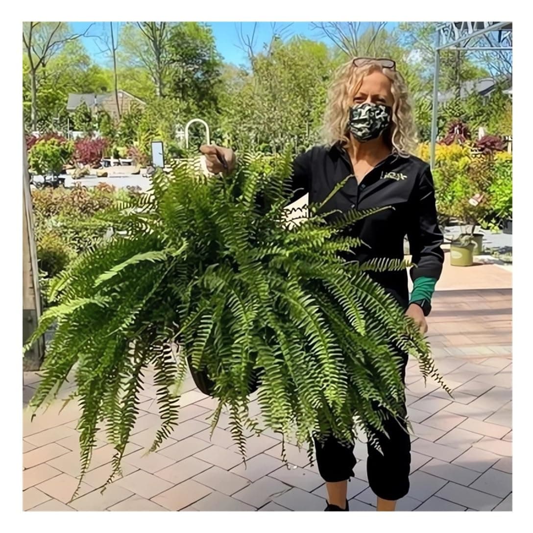 UV Resistant Lifelike Artificial Boston Fern 2024 New Faux Boston Ferns Outdoor Planter Large Realistic Fake Feen Hanging Silk Fern Stems Indoor Basket Plant Urn Fillers Front Porch 2 Green