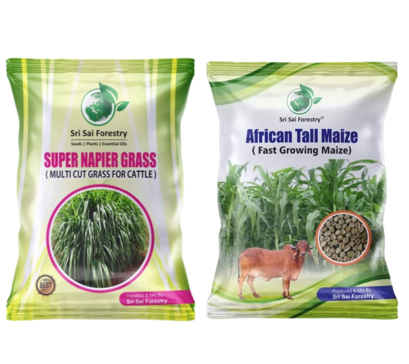 SRI SAI FORESTRY Super Napier & African Tall Maize Grass (1000 Seeds) | High Yield Multi Cut Fodder Grass Seeds for Cattle, Goat, Buffalo, Sheep | Nutritious Green Fodder for Dairy & Livestock