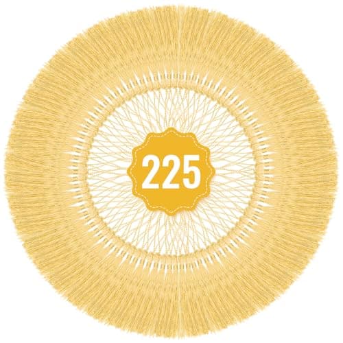 225 PCS Bookmark Tassels 13cm5inch Mini Bookmark Tassels with Loops for Crafts Keychain Making DIY Projects Graduation Bookmarks Gold