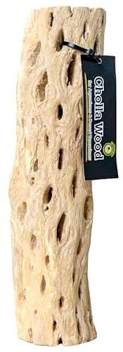 Galápagos (05271) Cholla Wood - Natural Aquarium & Terrarium Decoration for Fish Tanks, Reptile Tanks, and Bird Perches, 12”, Natural