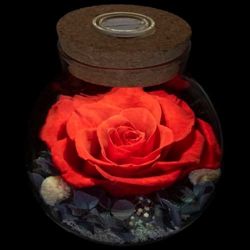 roliys Preserved Real Roses with Colorful Mood Light Wishing Bottle, Eternal Rose,Never Withered Flowers, Table Decor,Christmas Anniversary Valentine's, Red 4.3inch, 1pcs