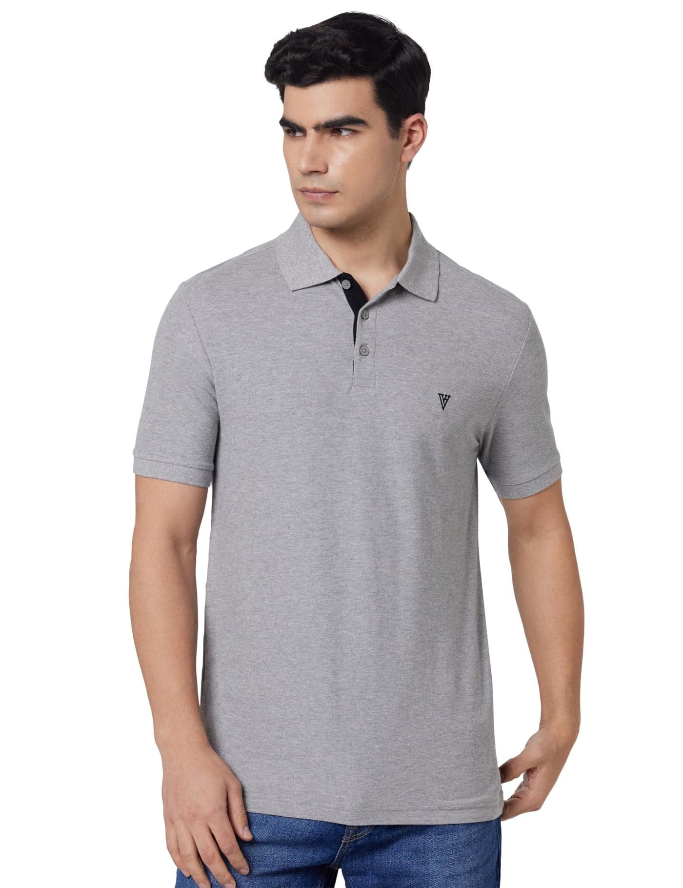 Van Heusen Athleisure Men's Solid Regular fit Polo (60032_Grey Melange_Medium)