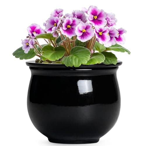 Teagas Ceramic African Violet Self Watering Pots, 6 Inch Self Watering Plant Pot with Absorbent Inner Pot, Flower Pots for Indoor Plants, Round Ceramic Planter, Home Decor, Plant Lover Gifts, Black