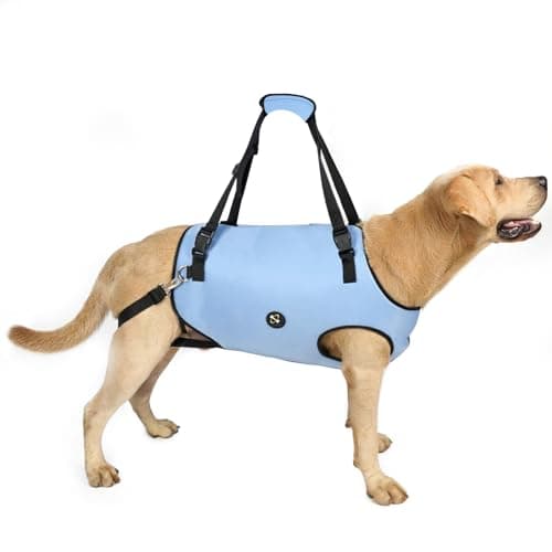 Coodeo Dog Lift Harness, Pet Support & Rehabilitation Sling Lift Adjustable Padded Breathable Straps for Old, Disabled, Joint Injuries, Arthritis, Loss of Stability Dogs Walk (Blue, XS)