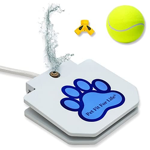 Pet Fit For Life Dog Pedal Water Fountain - Step-On Sprinkler, Drinking Water Hose Toy and Water-Play for Dogs, Includes Giant Tennis Ball