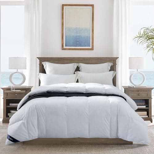 Globon UltraSoft Lightweight Down Feather Comforter Queen SizeBreathable Thin Blanket Duvet Insert for Hot SleeperWarm WeatherNoiseless Shell700 Fill Power with Corner TabsWhite