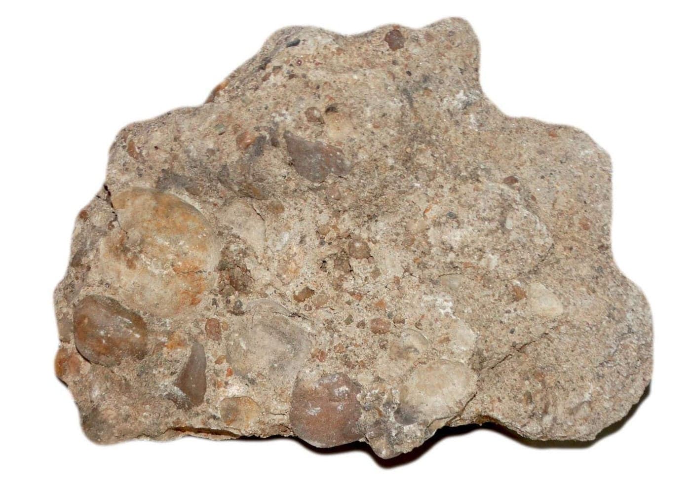 Maalavya 3Kg Stone Rock for Aquarium Decoration and Garden Decoration (Conglomerate Rock, Medium (2 to 4 inch))