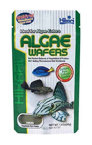 Hikari Usa Inc AHK21307 tropical Algae Wafer 1.41-Ounce
